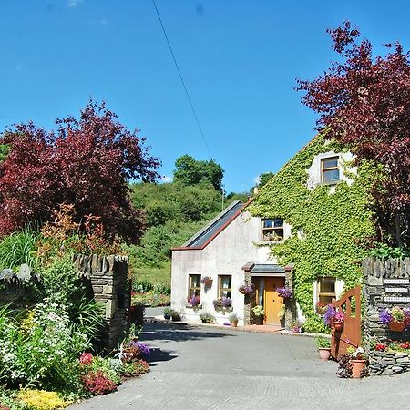 Tinnycross House B&B Ballymore Eustace Exterior photo