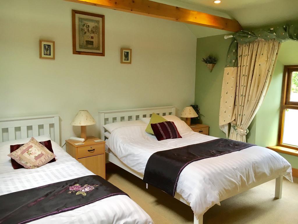 Tinnycross House B&B Ballymore Eustace Exterior photo
